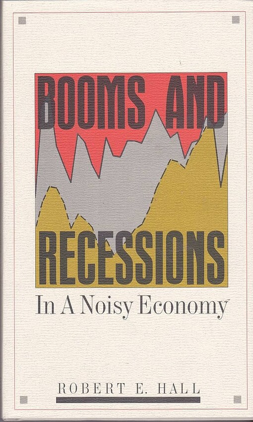 Booms and recessions in a noisy economy