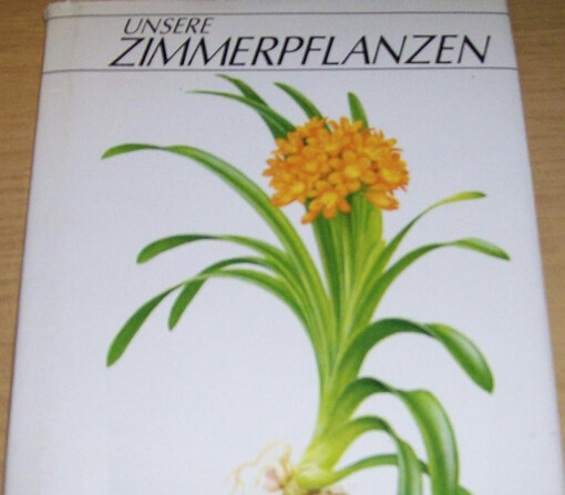 Unsere Zimmerpflanzen