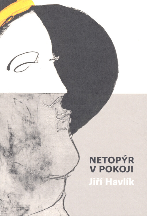 Netopýr v pokoji