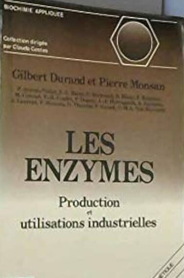 Les enzymes :