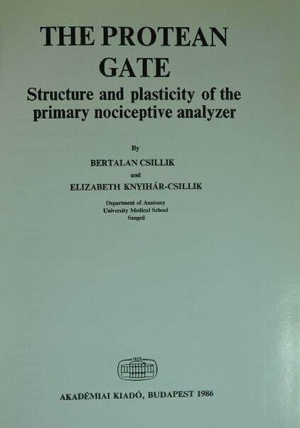 The protean gate :structure and plasticity of the primary nociceptive analyzer