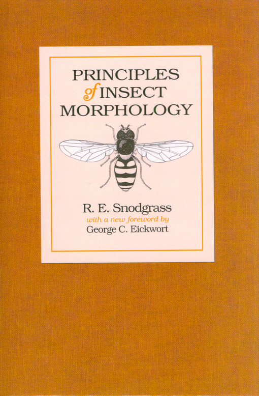 Principles of insect morphology