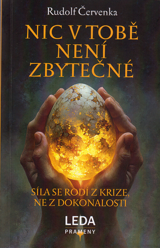 Nic v tobě není zbytečné : síla se rodí z krize, ne z dokonalosti