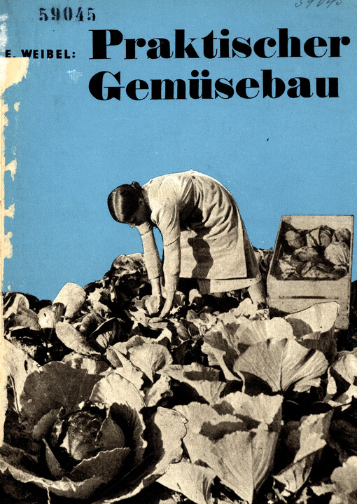 Praktischer Gemüsebau