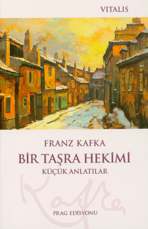 Bir Taşra Hekimi : Küçük Anlatılar
