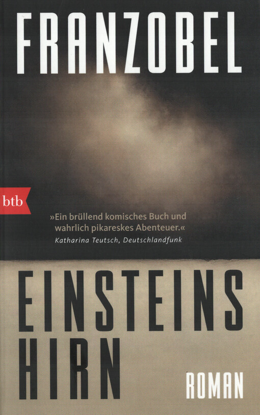 Einsteins Hirn : Roman