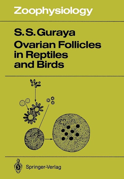 Ovarian follicles in reptiles and birds