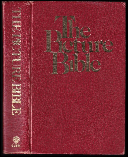 The Picture Bible