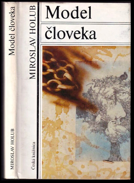 Model človeka