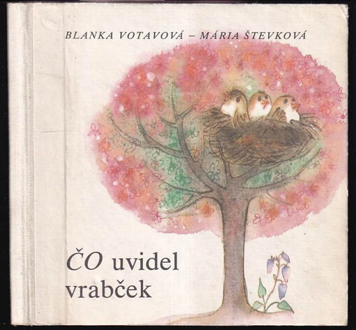 Čo uvidel vrabček