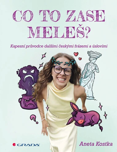 Co to zase meleš? - Aneta Kostka