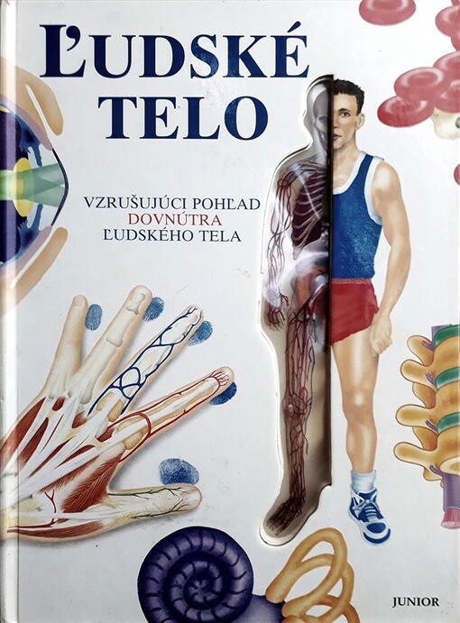 Ľudské telo: vzrušujúci pohľad dovnútra ľudského tela