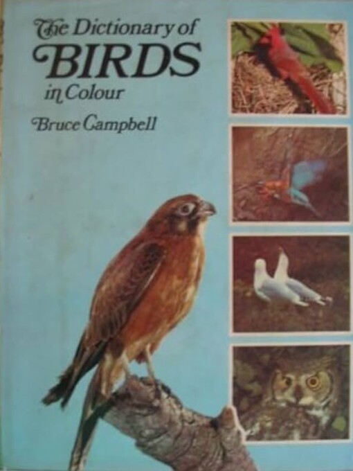 The dictionary of birds in colour