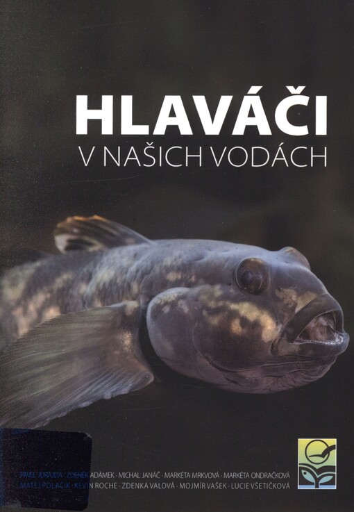 Hlaváči v našich vodách