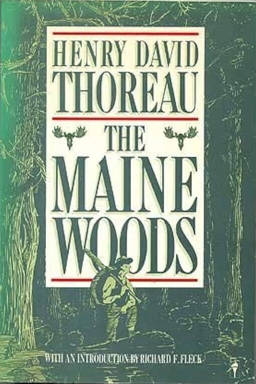 The Maine woods