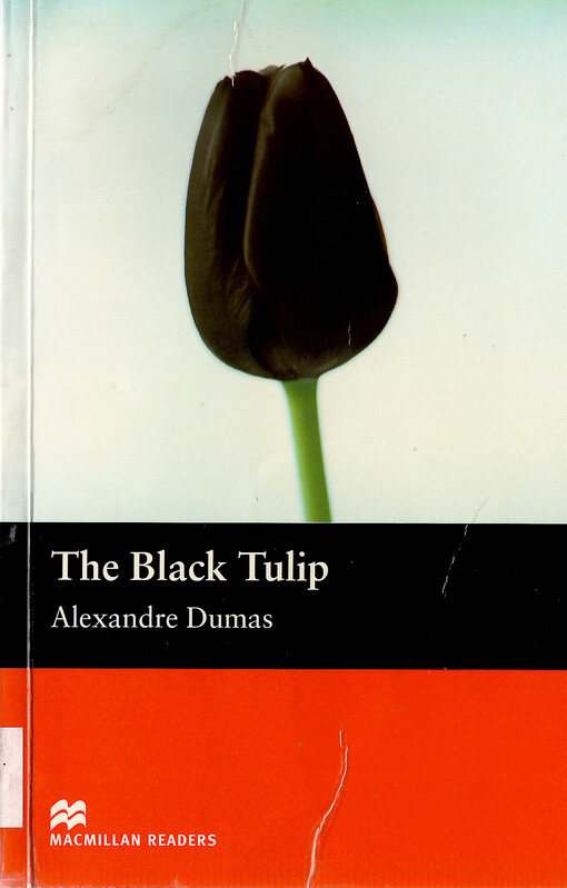 The black tulip