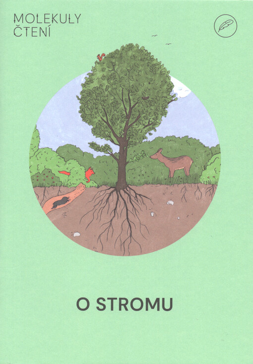 O stromu