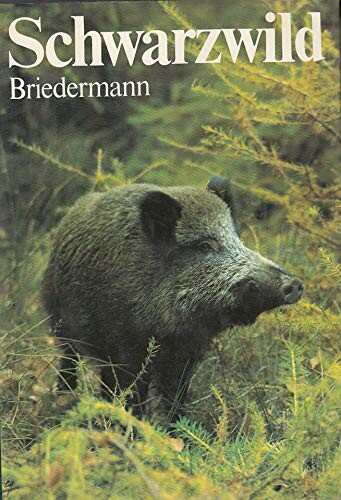 Schwarzwild
