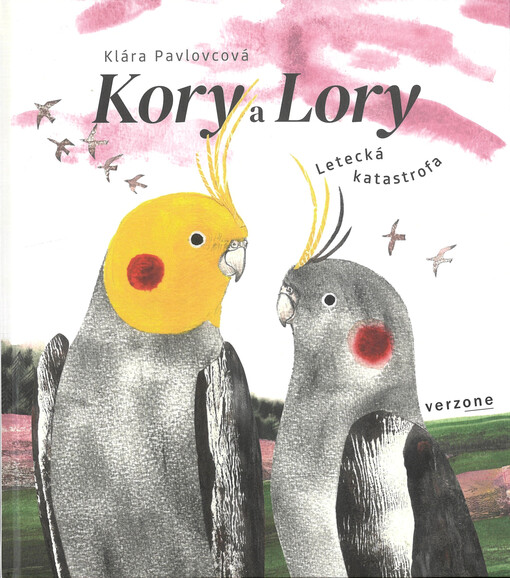 Kory a Lory : letecká katastrofa