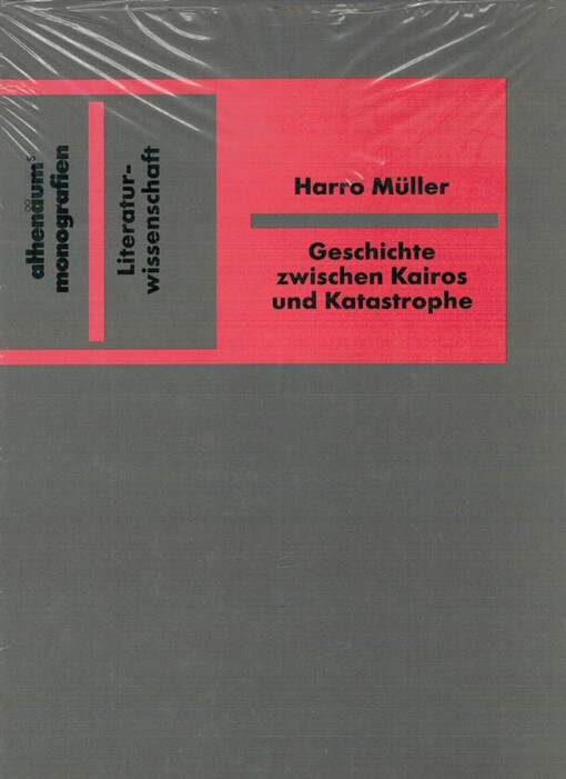Geschichte zwischen Kairos und Katastrophe :historische Romane im 20. Jahrhundert