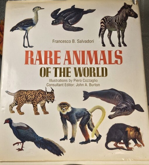 Rare animals of the world