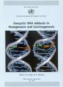 Exocyclic DNA adducts in mutagenesis and carcinogenesis