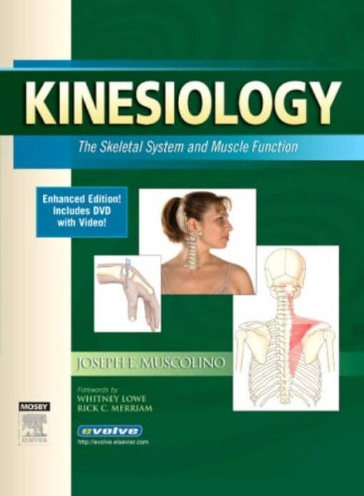 Kinesiology :the skeletal system and muscle function