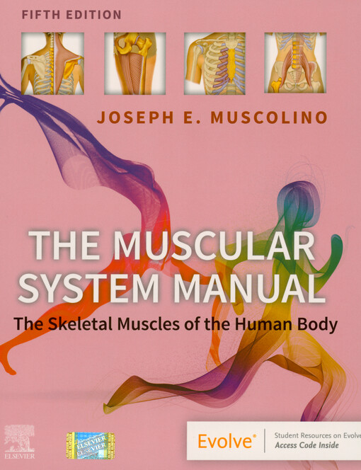 The muscular system manual : the skeletal muscles of the human body