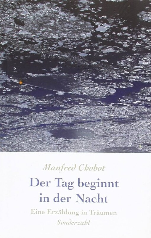 Der Tag beginnt in der Nacht :eine Erzählung in Träumen