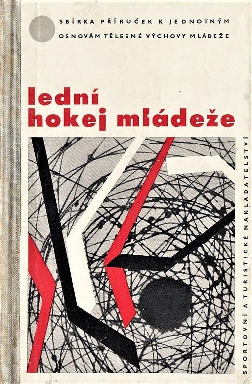 Lední hokej mládeže