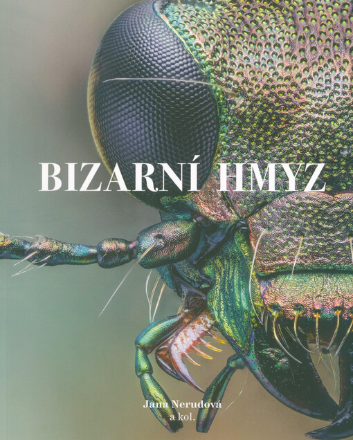 Bizarní hmyz