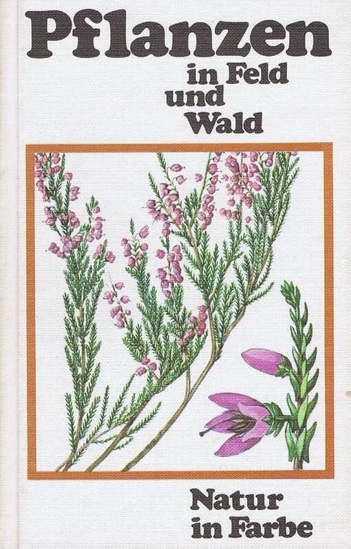 Wildpflanzen in Feld und Wald