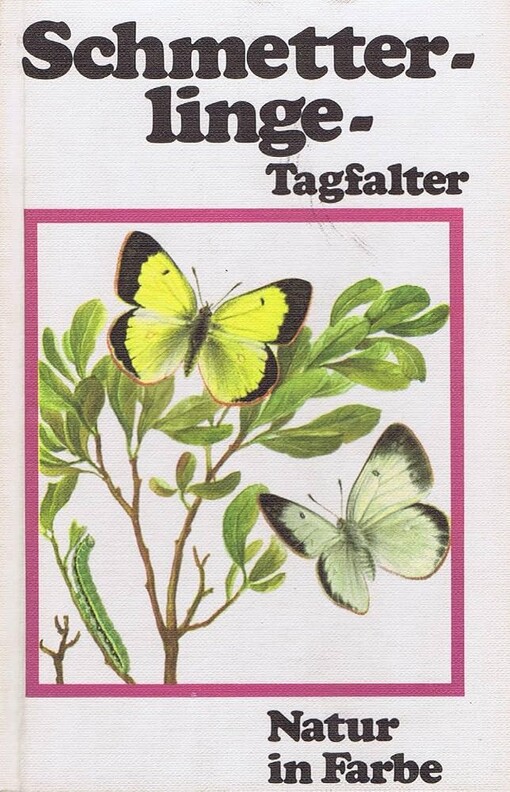 Schmetterlinge :Tagfalter