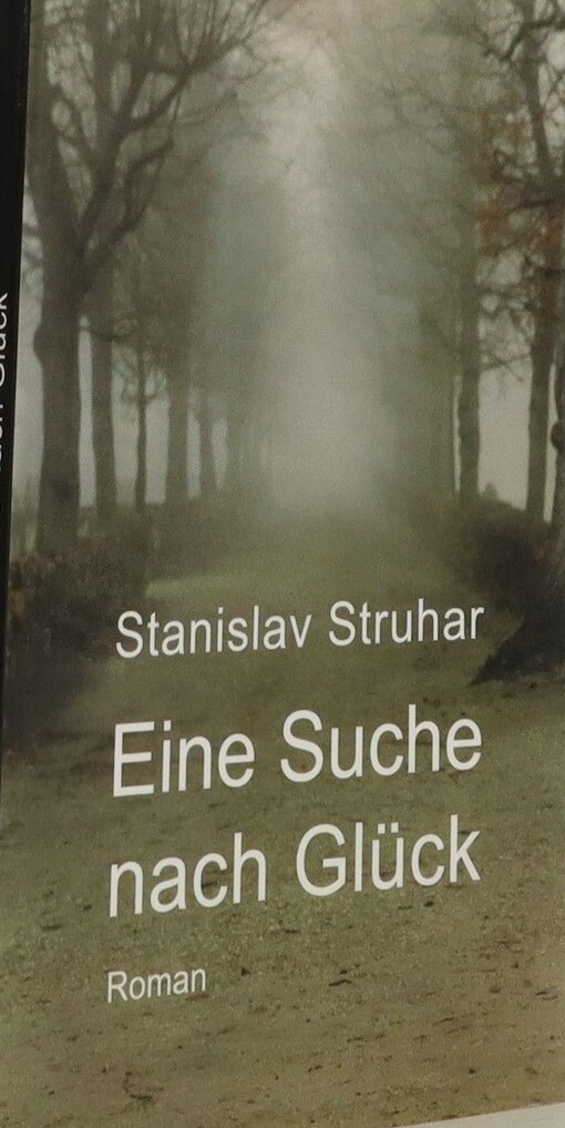 Eine Suche nach Glück :Roman