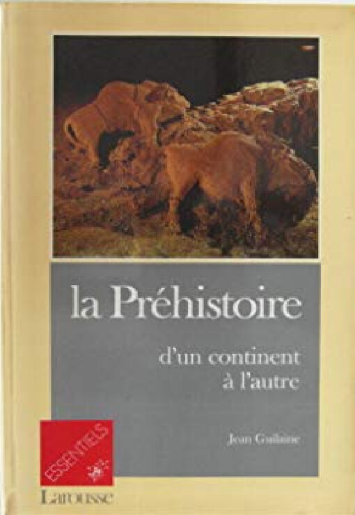 La préhistoire d'un continent a l'autre