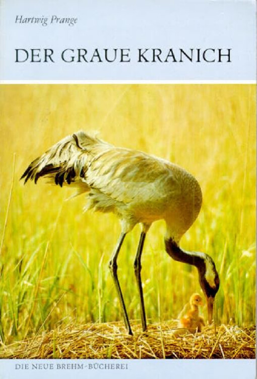 Der Graue Kranich :Grus grus