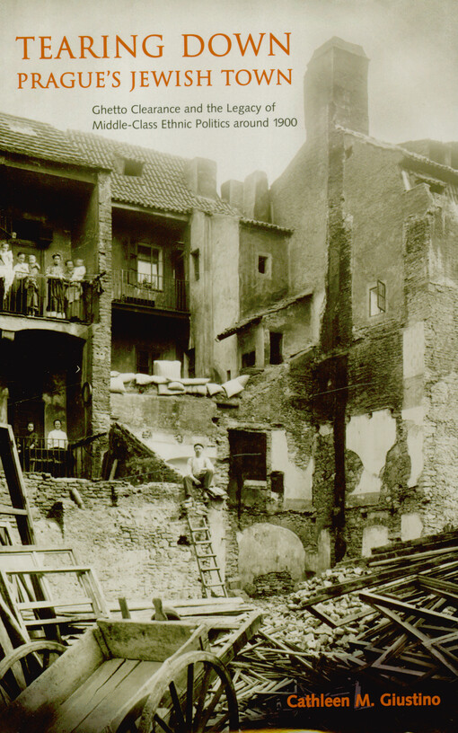 Tearing down Prague's Jewish town : ghetto clearance and the legacy of middle-class ethnic politics around 1900