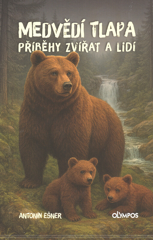 Medvědí tlapa