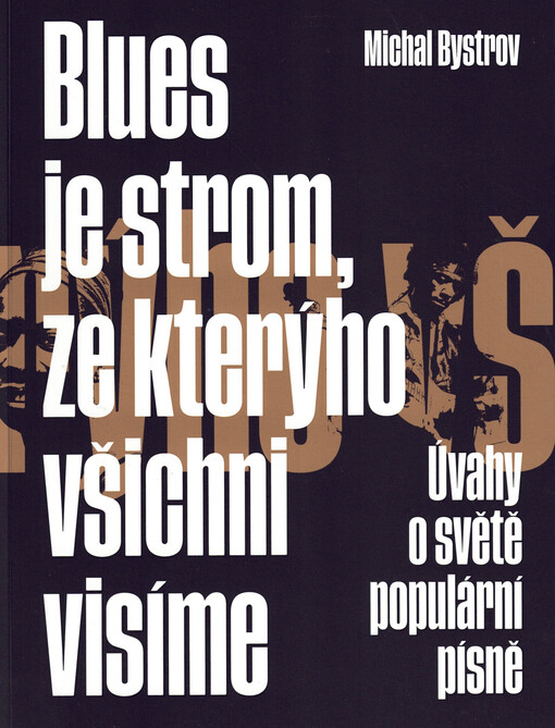Blues je strom, ze kterého všichni visíme : úvahy o světě populární písně