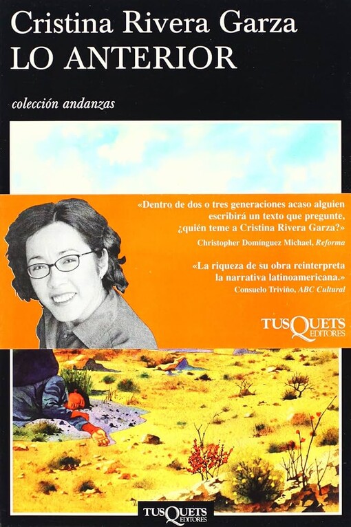 Lo Anterior