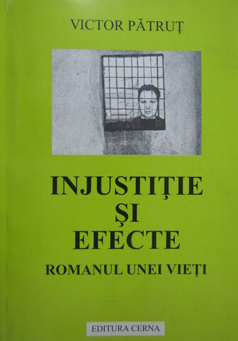 Injustiţie şi efecte :romanul unei vieţi