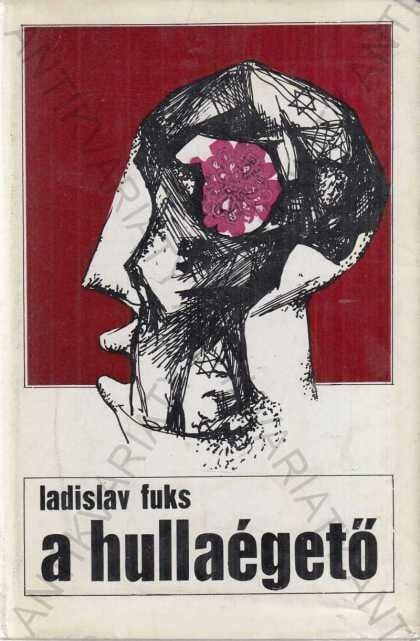 A hullaégető