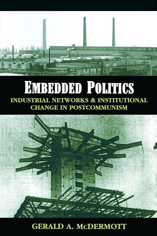 Embedded politics :industrial networks and institutional change in postcommunism