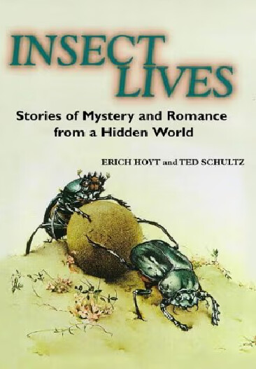 Insect lives :stories of mystery and romance from a hidden world