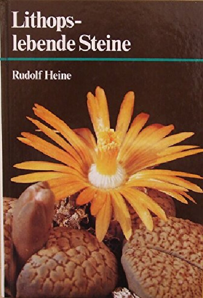 Lithops - lebende Steine