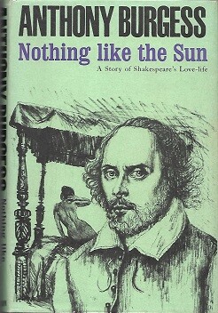 Nothing like the Sun :a story of Shakespeare's Love-life