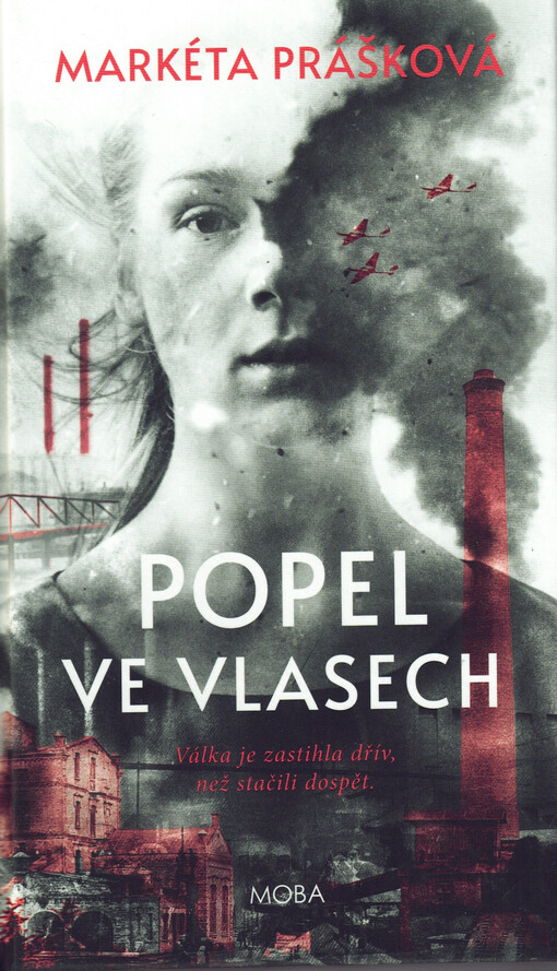 Popel ve vlasech