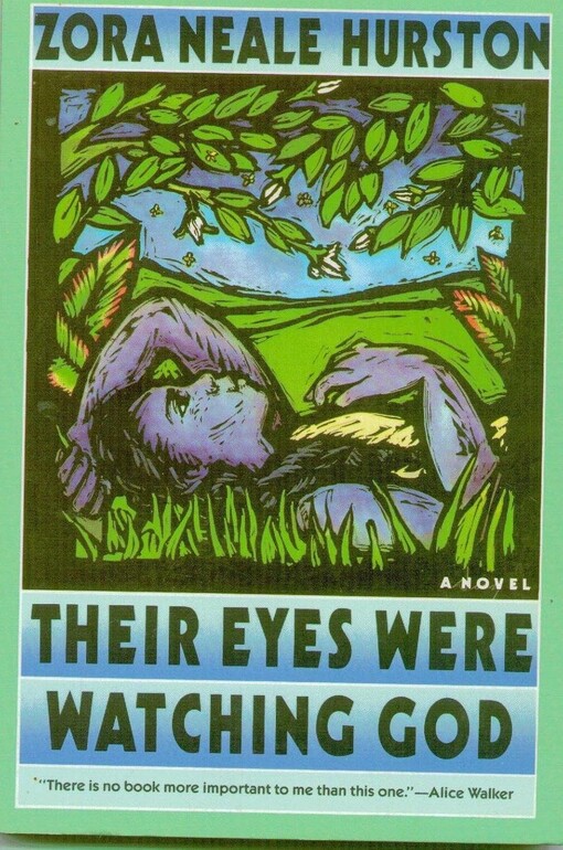 New essays on their eyes were watching god