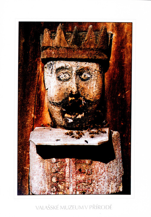 Valašské muzeum v přírodě : Dřevěné městečko