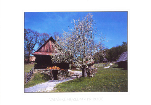 Valašské muzeum v přírodě : Valašská dědina